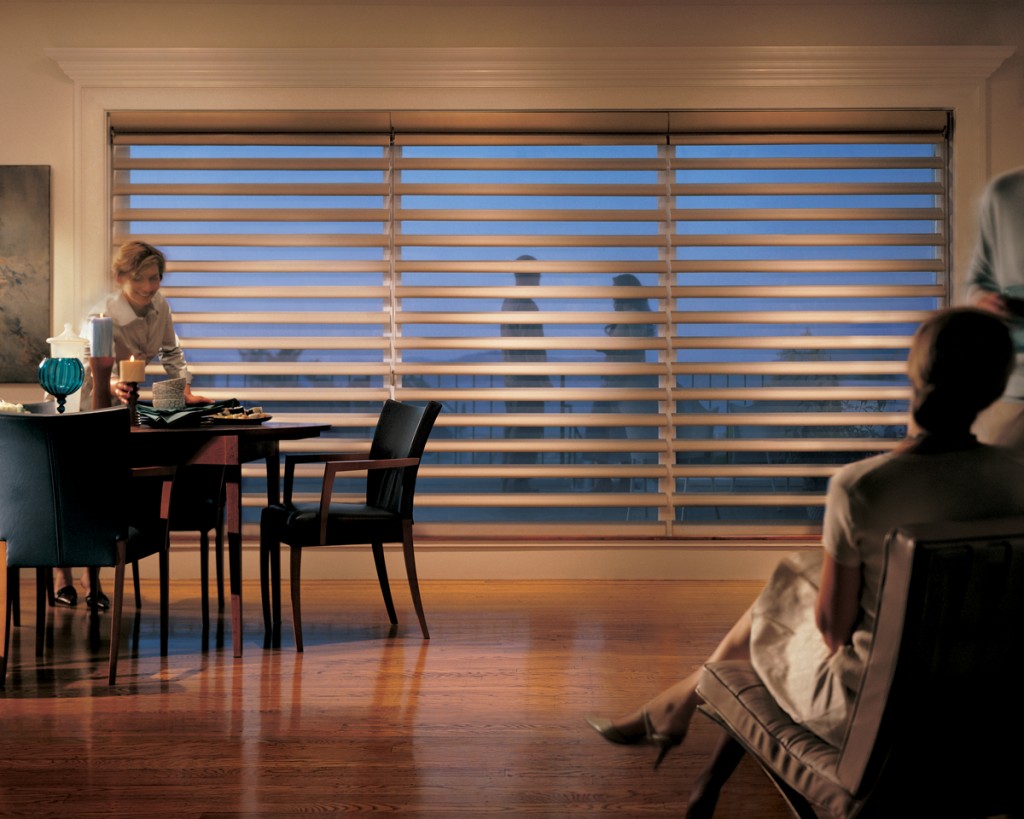 Hunter Douglas Window Shadings 