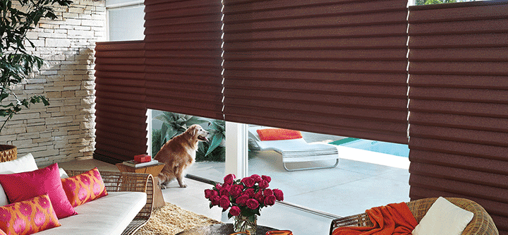 pet safe window coverings