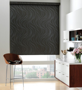 Hunter Douglas Roller Shades Chicago 60614