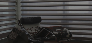 window treatments chicago by Skyline Window Coverings | Hunter Douglas Pirouette Window Shades
