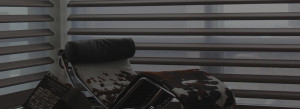 Hunter Douglas Pirouette Window Shades