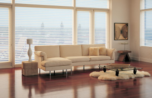 Hunter Douglas Silhouette Window Shades in condo in Chicago IL