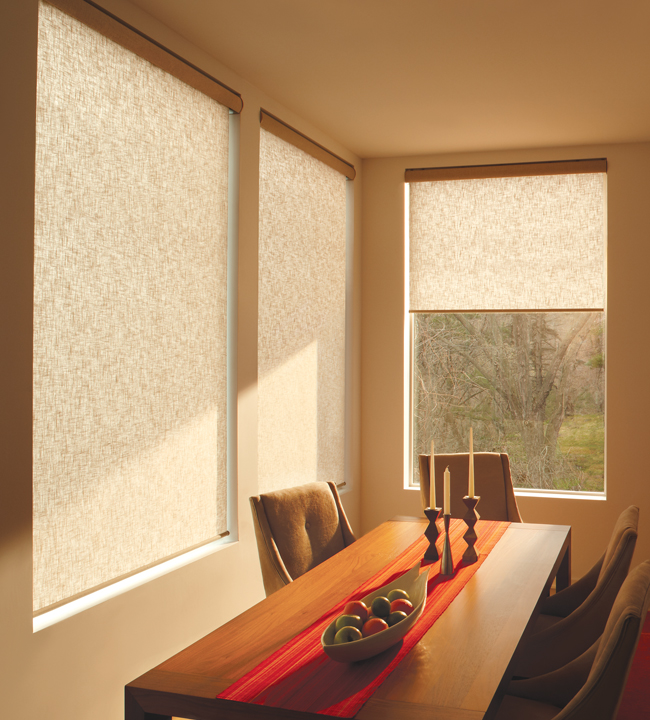 Designer Window Shades designer roller shades | skyline window coverings Designer Window Shades designer roller shades | skyline window coverings