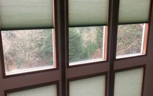 duette honeycomb shades on hard to reach second story window in Portland OR