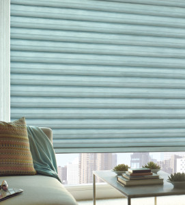 solera soft fabric roman shades Hunter Douglas top down bottom up shades Hinsdale 60521