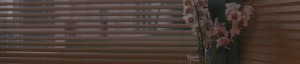 Hunter Douglas window treatments Hunter Douglas Hinsdale 60521