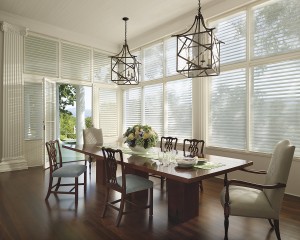 silhouette sheer french door shades in Naperville IL