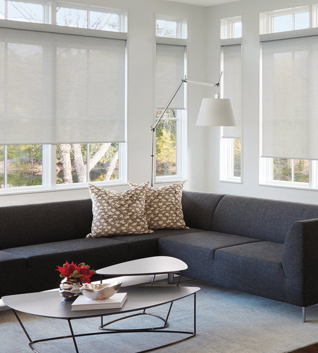 hunter douglas designer screen shade hunter douglas designer screen shade