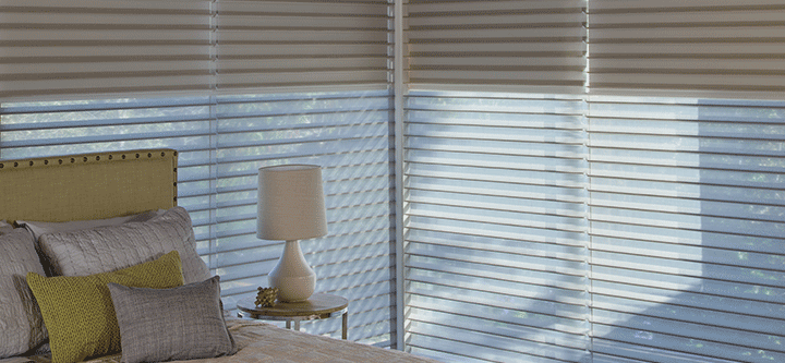 Dual shades offer front sheer and Blackout roller Shades in Chicago