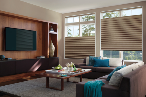 privacy for living room with top down shades