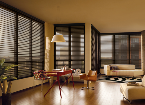 maximize the light with black sheer shades in Chicago IL