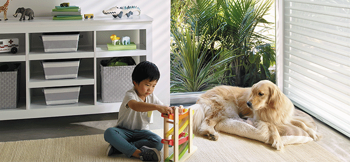 child safe blinds and shades