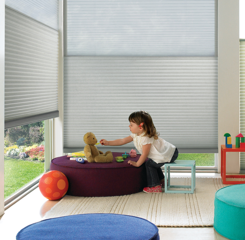 motorized child safe blinds with dual shade feature in Chicago IL