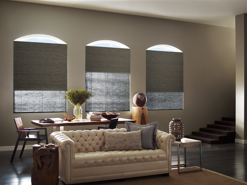 best shades for living room light control dual shades Vancouver WA