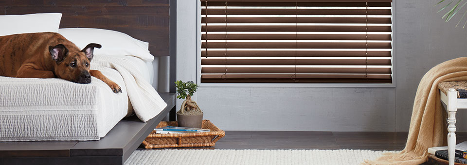 pet safe blinds for Chicago homes