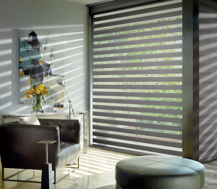 Modern Roller Shades Hunter Douglas La Grange 60525