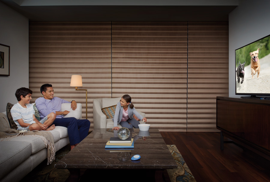 Floor to ceiling windows with room darkening shades in Chicago IL