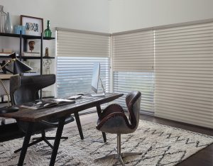 home office dual shade system in Chicago IL