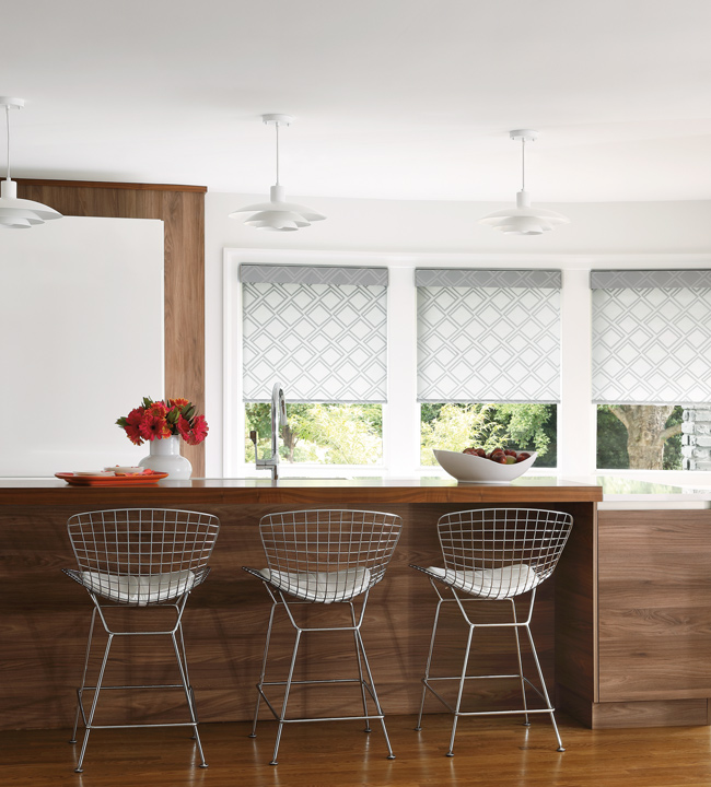 Hunter Douglas Roller Shades Designer Hunter Douglas Roller Shades Designer