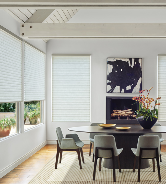 Shades Hunter Douglas Roller Shades Cellular Shades