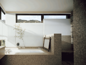 top down shades bathroom design Hunter Douglas Hinsdale 60521
