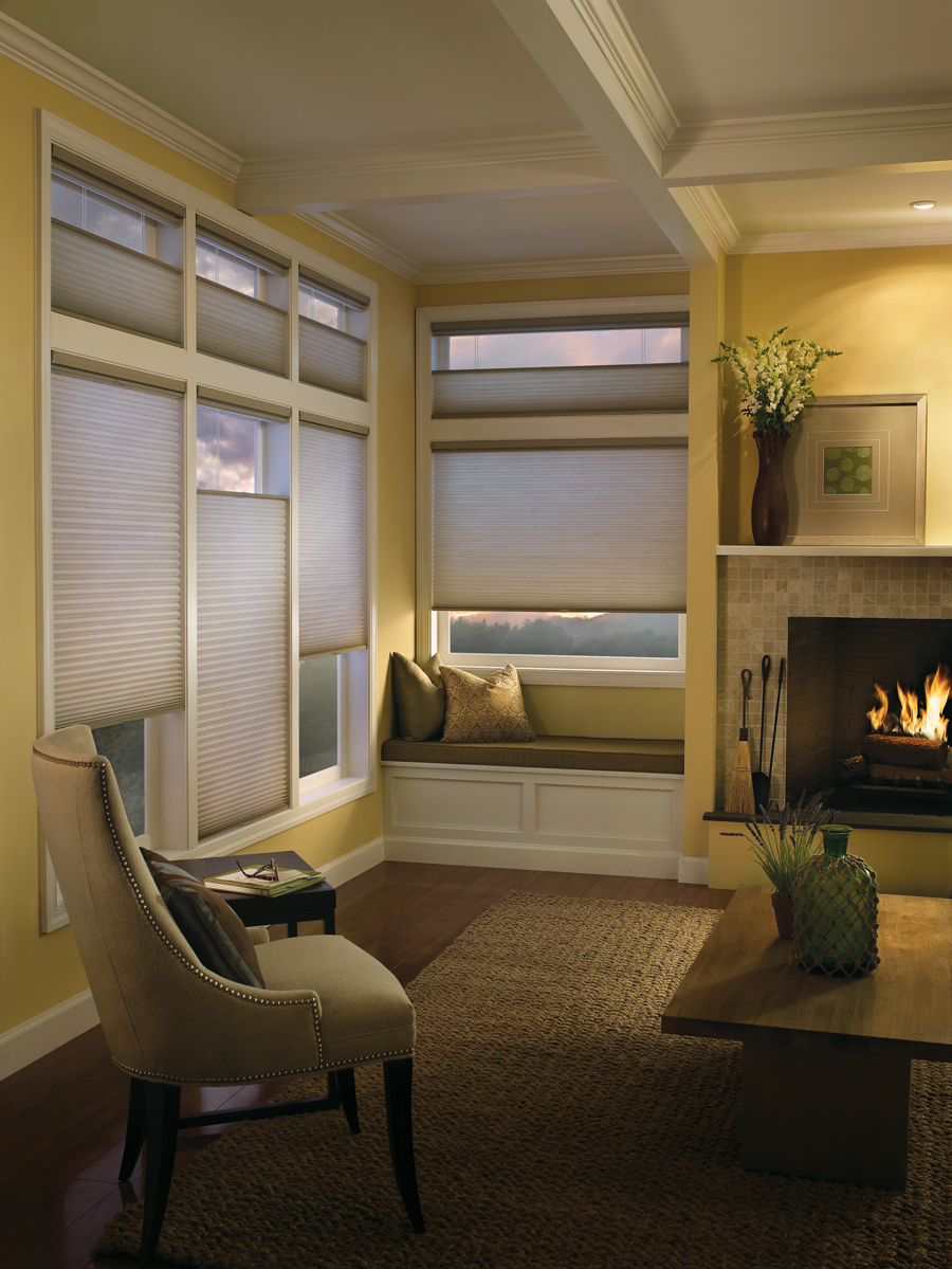 best window coverings for insulation Hunter Douglas Chicago 60611