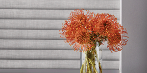 Living Coral Chicago