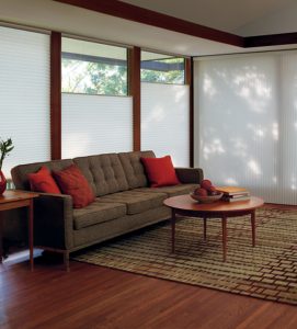 living room duette honeycomb cellular shades Hunter Douglas floor to ceiling blinds Chicago 60657