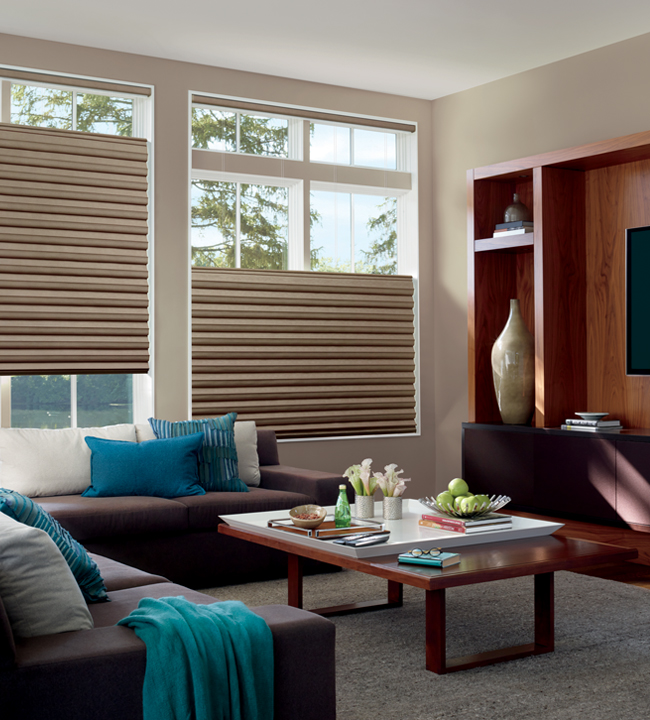 Top Down Bottom Up Shades for Natural Light + Privacy Solutions