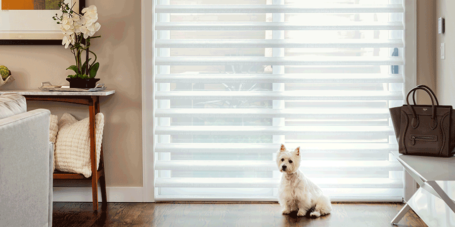 love dogs with pet safe window treatments Chicago 60614