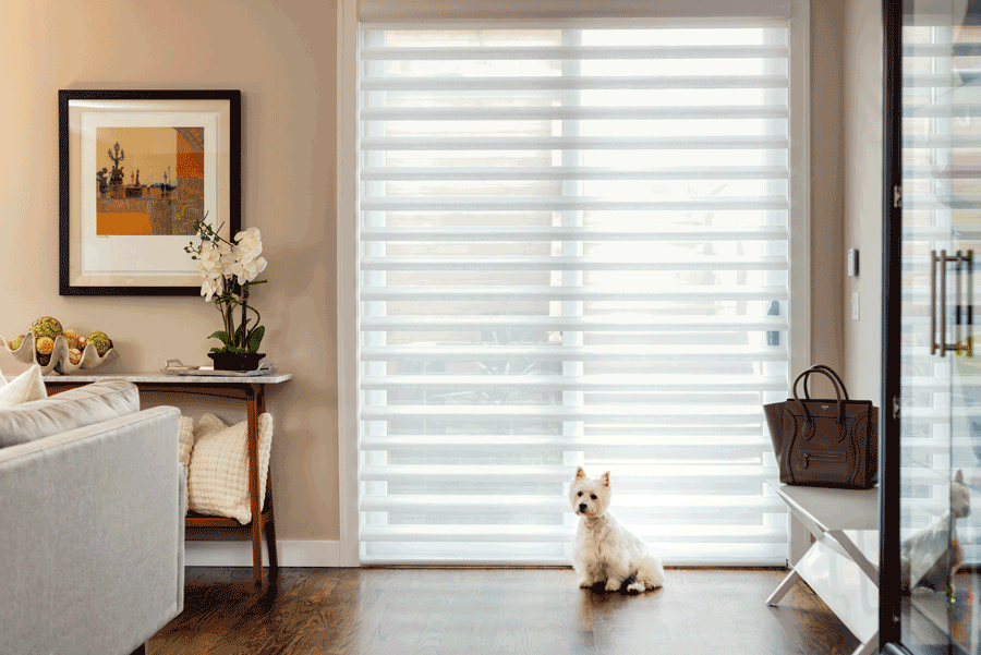 love dogs sliding glass doors shades Hunter Douglas pet safe blinds Chicago 60657