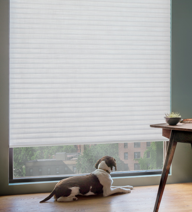 Floor To Ceiling Blinds Shades Hunter Douglas Large Window