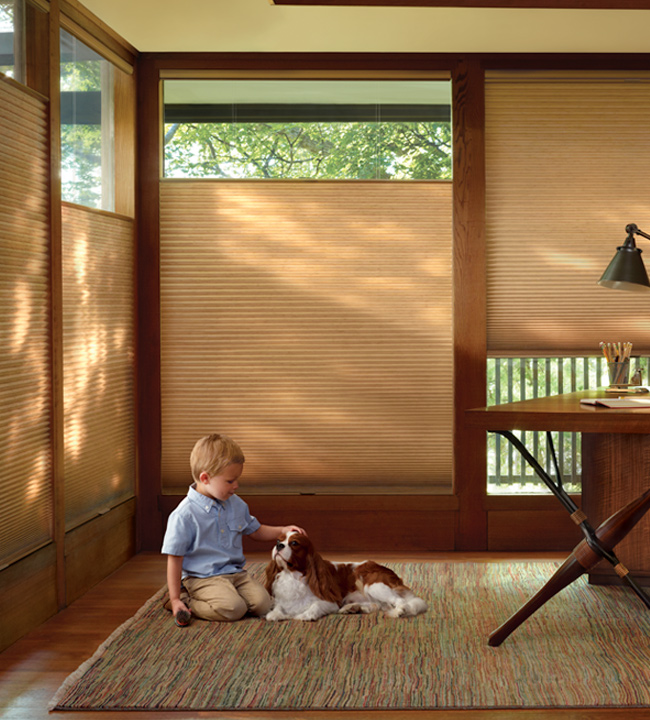 child safe blinds in home office Chicago 60654