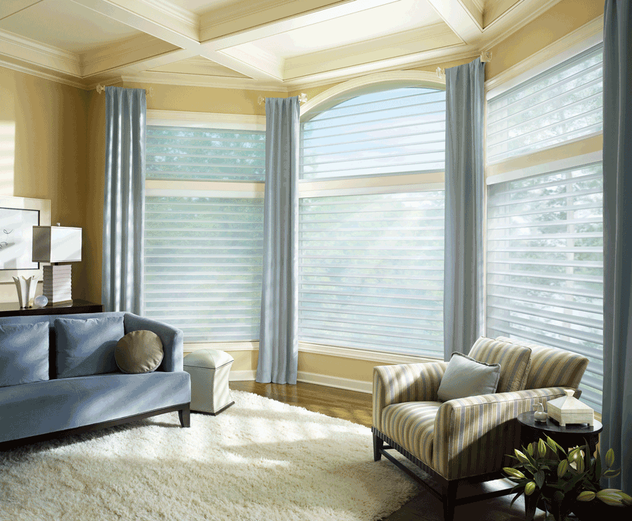 Hunter Douglas silhouette shades arched window treatments Chicago 60611