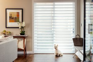 glass doors covered with pirouette window shades in Chicago home