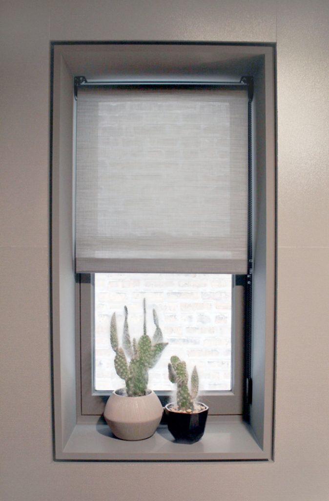 cactus in window with gray screen shades in Chicago IL