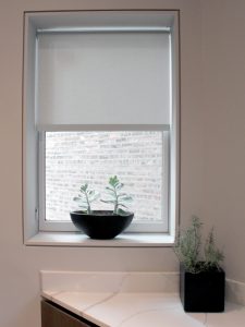 plant in window with screen shades in Chicago IL