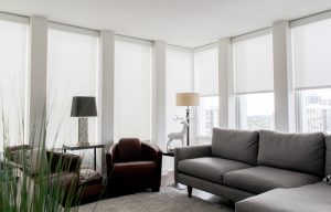 white screen roller shades on Chicago condo windows