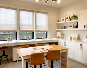 design portfolio homeschool learning station with woven shades Chicago IL