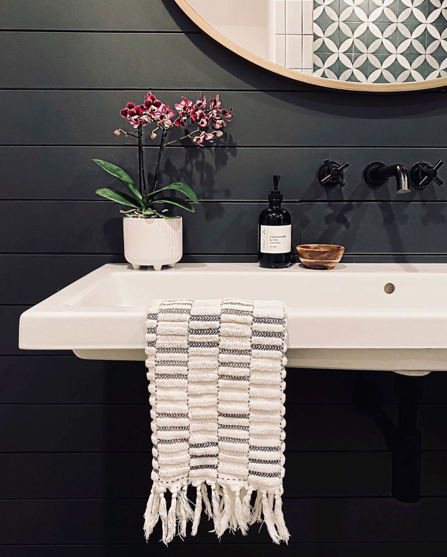 black painted shiplap in bathroom