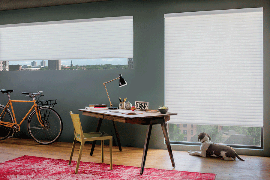 Energy efficient shades help to block out light in your home office.