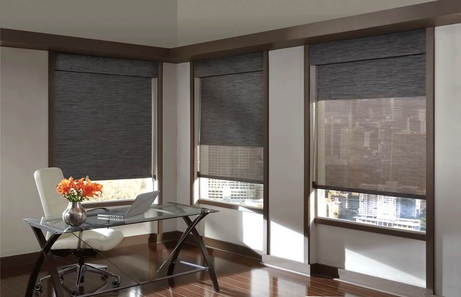 Black dual roller shades in home office