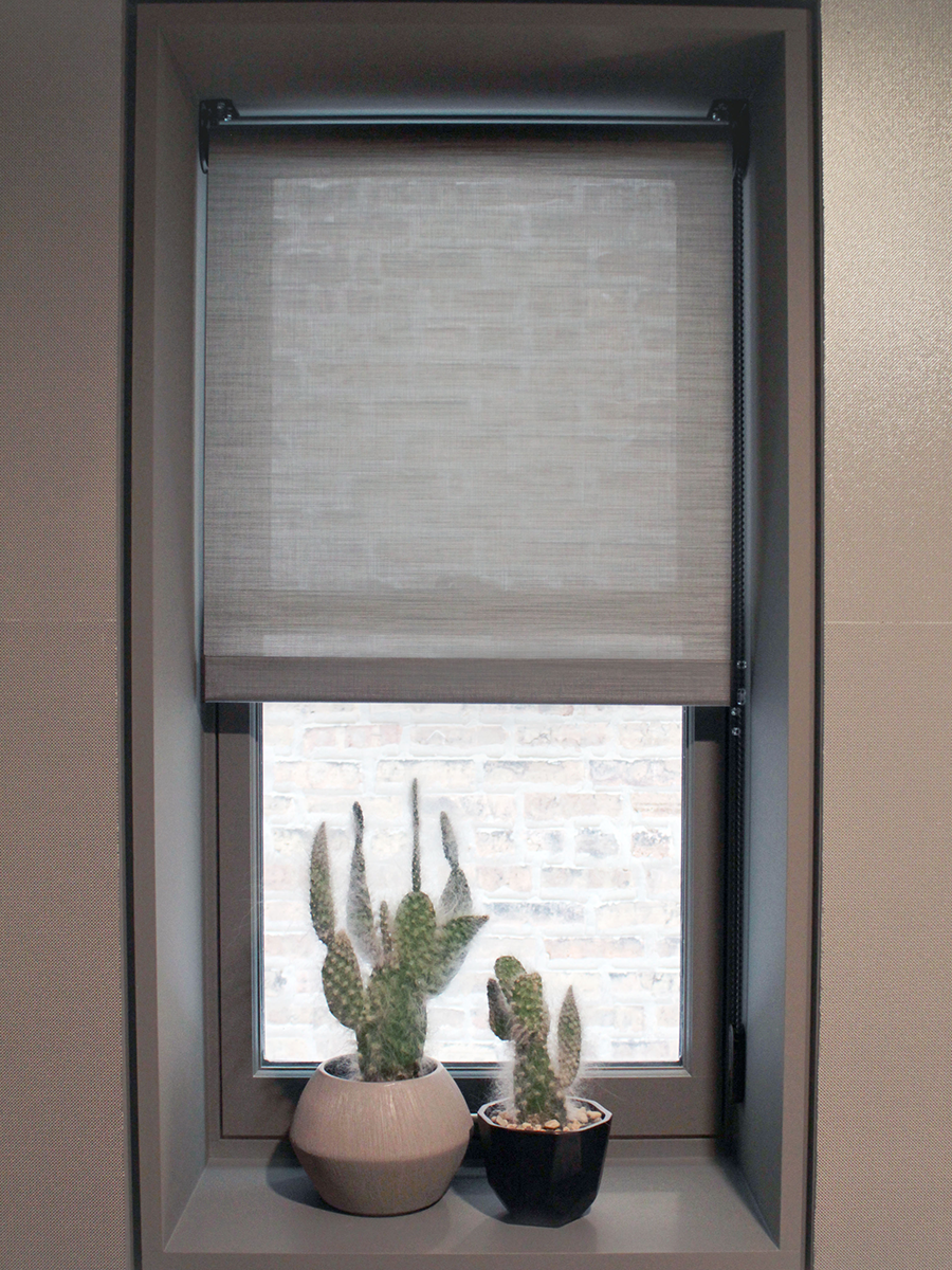 cacti in window with gray roller shades Chicago 60614