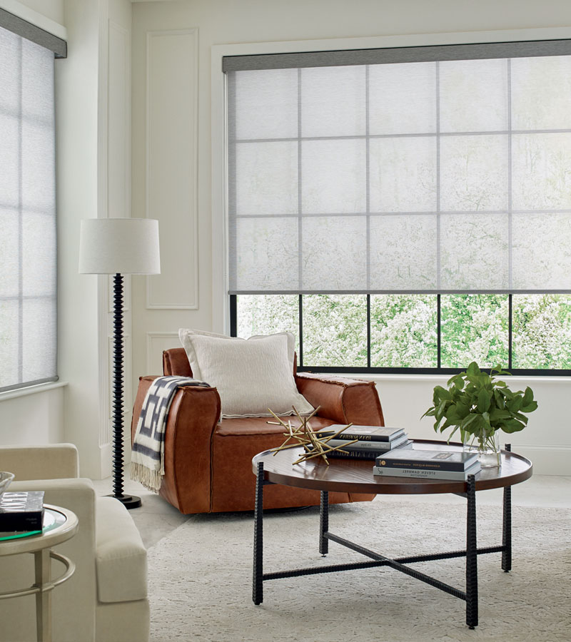 screen shades roller shades in living room in Chicago IL