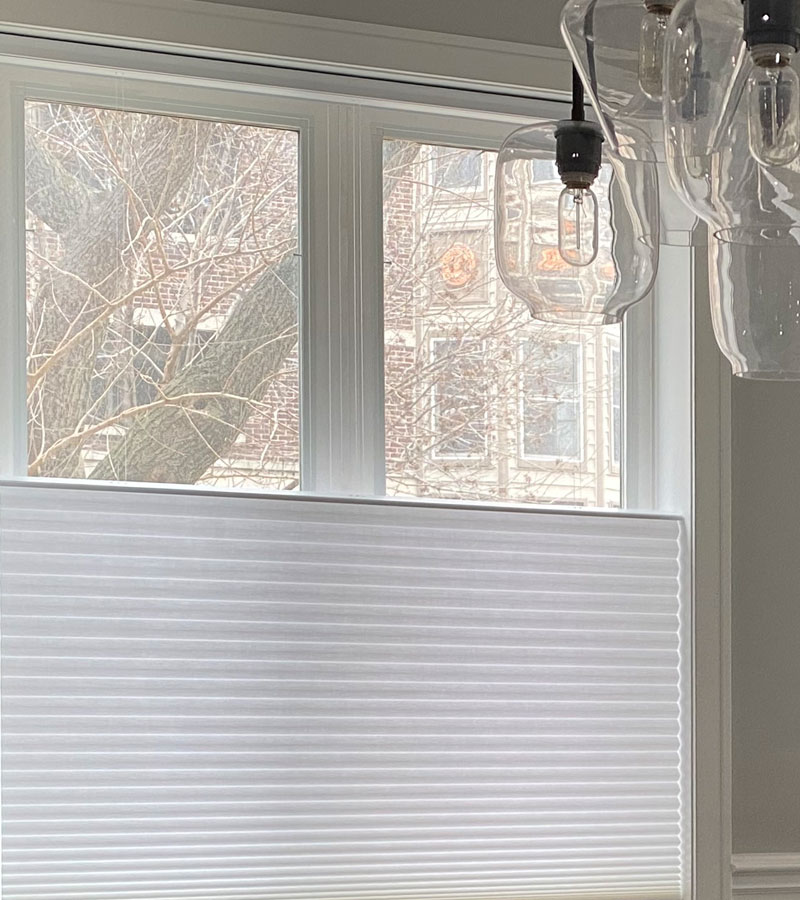 daylight with blinds that lower from the top in Chicago IL home