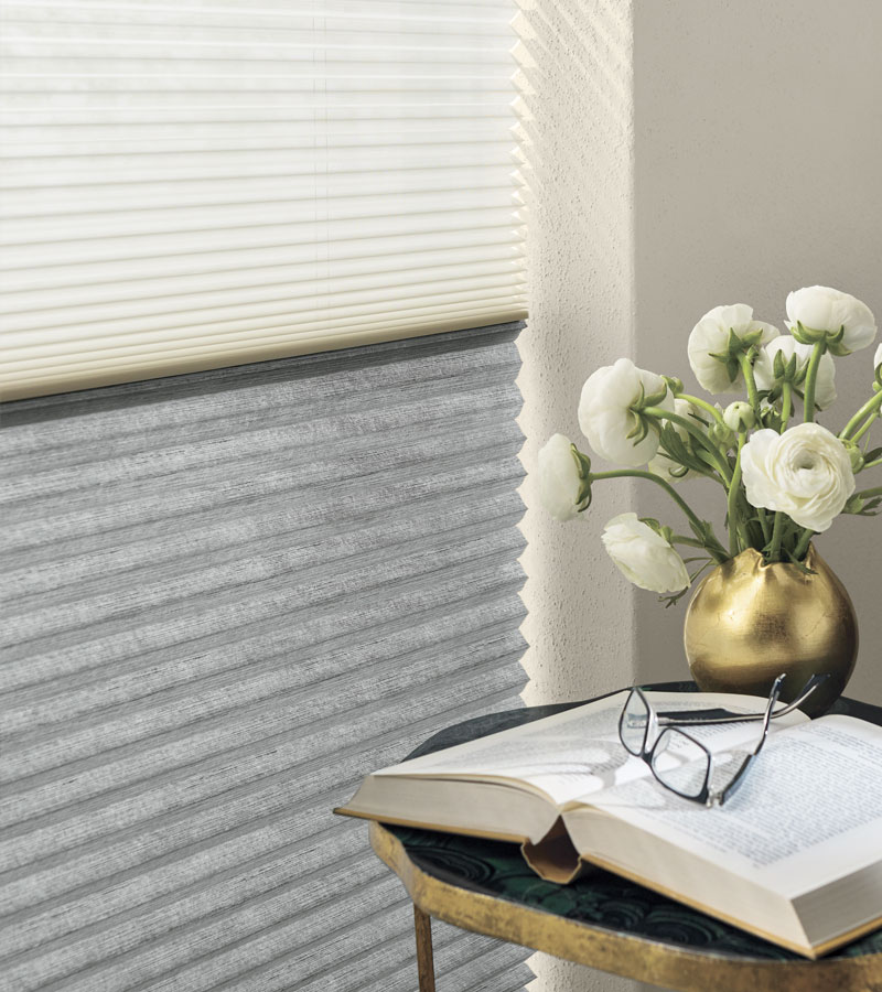 applause honeycomb shades with dual shades two on one Chicago 60614