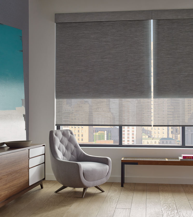 Chicago condo with gray roller screen shades with dual shades on one window