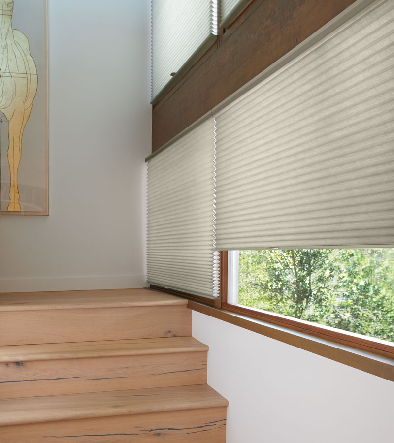 duette honeycomb cordless shades in Portland OR home