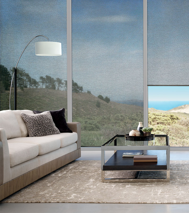 black roller screen shades for large windows in Portland OR