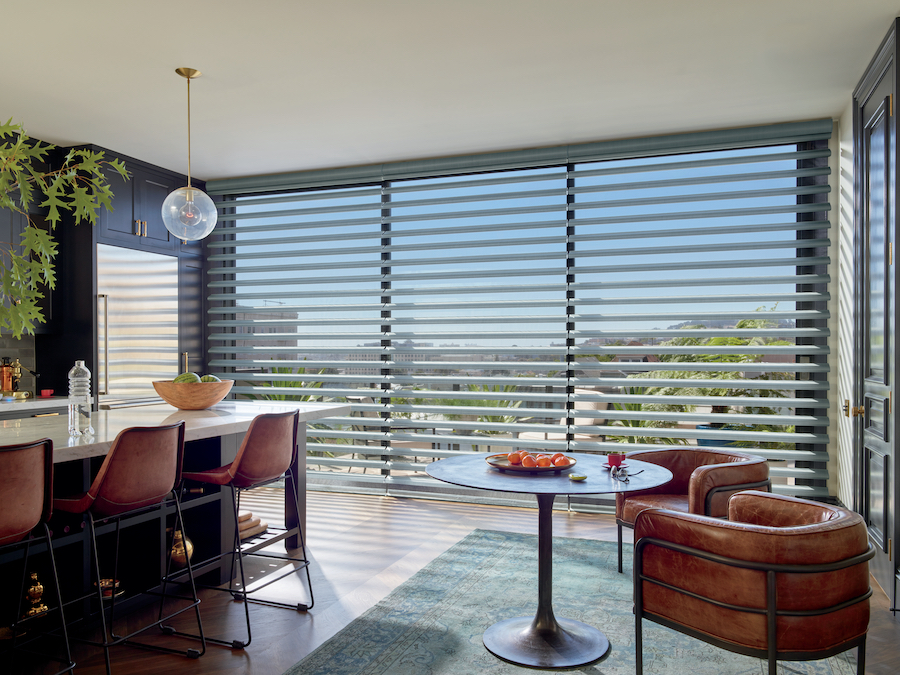 Largest windows with shades shown in Chicago high-rise